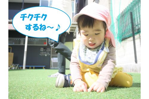 たくさんシャボン玉を追いかけて少し疲れたのか<span style='color:#00ff00;'>芝生にゴロン</span>と寝転んで休憩…<br><br><br>ぽかぽかの気候も相まって芝生が暖かく、座っていても気持ちよかったですよ！<br><br>暖かい芝生を触って嬉しそうな表情も見られました<span style='color:#ff7f00;'>♪</span><br><br><br>これからぽかぽか陽気の日も増えるので園庭あそびをたくさん楽しめそうです<span style='color:#ff00ff;'>♥</span><br><br>また、次回のブログもお楽しみに！<br>