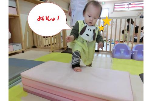 手足の筋力もしっかりとしてきたので、<br>段差に登るのも上手になりました<span style='color:#8e1eff;'>♪</span>