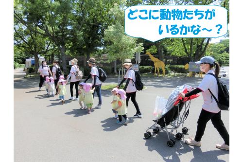 動物園につくと早速先生と手をつないで出発！<br><br><br><span style='color:#00ff00;'>「動物見つけたら先生にも教えてね～！」</span>と伝えると早速<span style='color:#ff7f00;'>「サイ！カバ！」</span>と看板を指さして教えてくれましたよ♪<br>
