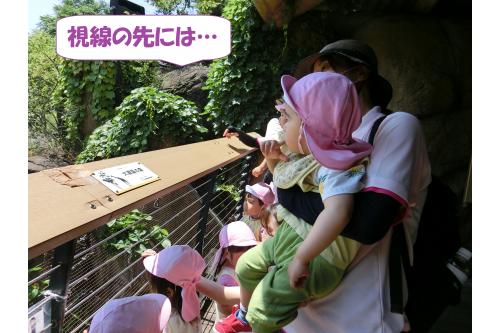 <span style='color:#00ffff;'>「あそこにいるよ～！」</span><span style='color:#ff7f00;'>「えぇ～？どこ？」</span>と<br>目を凝らして探していた子ども達<span style='color:#ffff05;'>(*^^*)</span>