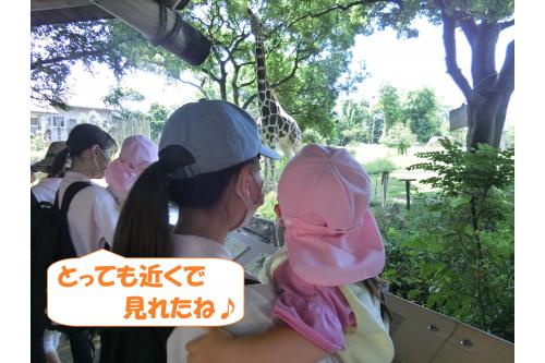 普段見ることのない動物たちに出会えたこともあり、<span style='color:#ff05ff;'>「キリンさんご飯食べてたね！」</span><span style='color:#007fff;'>「カバさんお水にいたよ！」</span>など帰ってきてからもお話ししてくれていました。<br><br><br>楽しい体験を通してたくさん思い出を作っていけたらいいなと思います<span style='color:#ff00ff;'>♪</span><br><br>また、次回のブログもお楽しみに<span style='color:#ffff00;'>★</span>