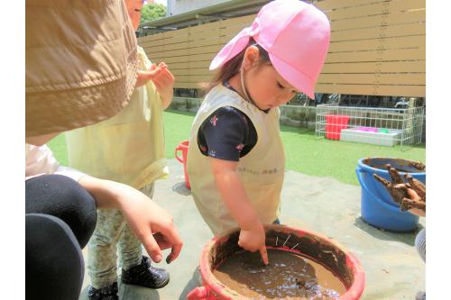 <span style='color:#00ff00;'>りすチーム(1歳児)</span>と<br><span style='color:#ff7f00;'>ひよこチーム(0歳児)</span>も<br>種まきをしましたよ<span style='color:#ff0000;'>♥</span><br><br>そーっと土を触ったり、<br>興味津々で触る子と反応は様々でした<span style='color:#ff28ff;'>(*^^*)</span>