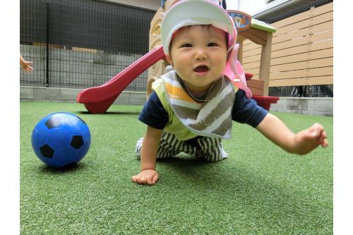 ハイハイや歩くのが上手になり、<br>動ける範囲がますます広がって、<br><span style='color:#82ff05;'><span style='font-size:1.2em;'>芝生</span></span>の上を歩くのが<br>楽しくて仕方がない子ども達<span style='color:#ff23ff;'>♥</span>