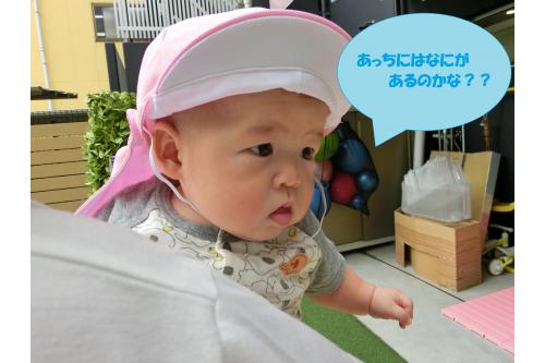 保育者に抱っこをしてもらいながら<span style='color:#ff7f00;'>園庭散策</span>をして<br><br>まわりを<span style='color:#ff00ff;'>キョロキョロ</span>、外の眺めを楽しんでいました<span style='color:#ff0000;'>☀</span><br><br>芝生のうえに敷いた<span style='color:#0000ff;'>茣蓙</span>に座ったり<br><br><span style='color:#ff0000;'>ごろ~ん</span>と寝転んで<span style='color:#ff7f00;'>日光浴</span>を楽しんだり<span style='color:#ff00ff;'>♪</span>