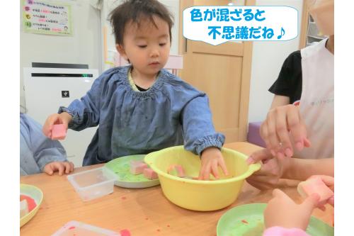 最後は色水でカラーリングして感触遊び。<br><br><br><span style='color:#007fff;'>うさぎチーム(2歳児)</span>は色が混ざって変化するのが楽しく<br><span style='color:#ff007f;'>「これは何色～？」</span><span style='color:#ff7f00;'>「こっち混ぜてみよう！」</span>といろいろな実験をしていました<span style='color:#ff007f;'>♥</span><br><br>高野豆腐がちぎれて小さくなると<br><span style='color:#007fff;'>「なんで～？」</span>と不思議そうにする姿も・・・<span style='color:#7fff00;'>(*^^*)</span><br><br><br>これから3チーム合同での感触遊びも<br>楽しんでいきたいと思います<span style='color:#ff0000;'>♪</span><br><br>次回のブログもお楽しみに<span style='color:#ffff00;'>★</span>