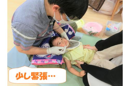 いつもと違う雰囲気に<span style='color:#00ffff;'>少し緊張</span>した様子でしたが、<br>保育者と一緒に行くと歯科の先生の膝にゴロンとできていましたよ<span style='color:#ff00ff;'>♪</span><br><br>怖くて少し泣いてしまう子もいましたが<span style='color:#00ff00;'>  「上手にあーんできているね」</span>と褒めてもらうと<br>  嬉しそうにはにかんでいました★<br><br><br>歯科検診後に<br><span style='color:#7f00ff;'>「ありがとう」</span>と伝える子もいましたよ<span style='color:#ff00ff;'>(*^^*)</span><br><br>これからもしっかり歯磨きをして<span style='color:#ff7f00;'>健康な歯</span>を保っていけるようにしていきたいと思います！！<br><br><br>次回のブログもお楽しみに<span style='color:#ffff00;'>★</span>