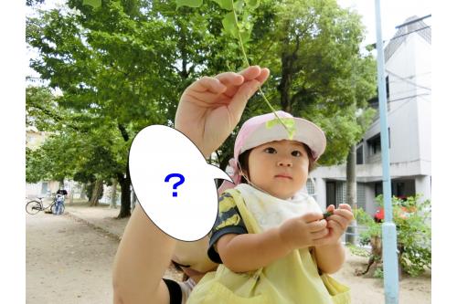 公園の葉っぱを不思議そうに見ていたり。。。<span style='color:#0000ff;'>(*^-^*)</span><br><br>綺麗なお花もみることができましたよ<span style='color:#ff007f;'>♪</span>