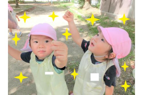 葉っぱだけでなく、<br>草にも興味津々の<br>子どもたち<span style='color:#ff2893;'>!</span><br><br>次は「<span style='color:#2d2dff;'>ちっちゃ!</span>」<br>と言って小さな草を<br>何度も摘んでいましたよ<span style='color:#2d96ff;'>♪</span><br><br>お友だちと一緒に<br>摘む姿もたくさん見られました<span style='color:#33ff33;'>(*^^*)</span>