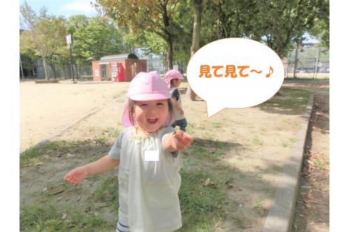 公園にて<br><span style='color:#ff9123;'>秋の自然</span>に触れることが<br>できました<span style='color:#ff2dff;'>♪</span><br><br>なんと<span style='color:#23ff23;'>四葉のクローバー</span>を<br>見つけたお友だちも<span style='color:#ff3333;'>!</span><br><br>久しぶりの公園で<br>とても楽しんだ<br>子ども達でした<span style='color:#ff2dff;'>(*^^*)</span><br><br>次回のブログもお楽しみに<span style='color:#962dff;'>★</span>