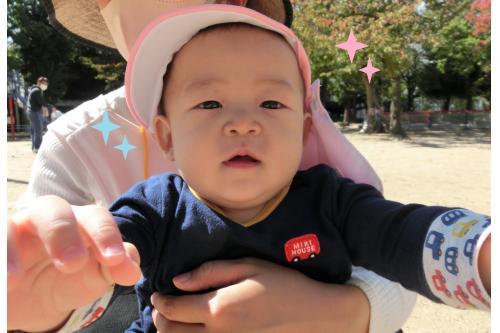 自然に触れながら<br>秋の公園を満喫している<br>ひよこチームです<span style='color:#ff1e1e;'><span style='font-size:1.4em;'>♪</span></span><br><br><span style='color:#2d2dff;'>次回のブログもお楽しみに★</span>