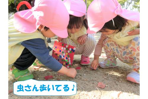 次の探索ポイントへ移動中みんなでしゃがみこんで何やら見つけた様子…<br><br><br>「何があったの?」と聞くと<span style='color:#ff007f;'>「アリさんがいた!」</span>とどこへ行くのか行方を観察し<span style='color:#00ff00;'>「またね~」</span><span style='color:#ff7f00;'>「いってらっしゃい♪」</span>と手を振っていましたよ<span style='color:#ffff00;'>(*^^*)</span><br>たくさんの秋に触れ<span style='color:#007fff;'>「また行こうね!」</span>と大満足の子どもたち。<br><br><br>自然に触れて遊ぶ機会も引き続き楽しもうと思います!<br><br><br>また、次回のブログもお楽しみに<span style='color:#ffff00;'>★</span>