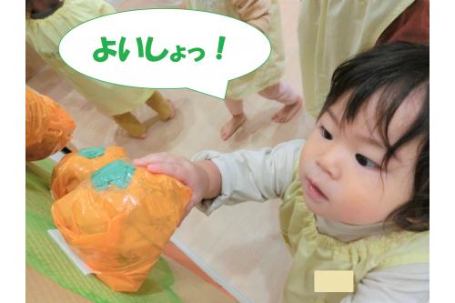 みかん狩りが始まると<span style='color:#ff007f;'>上手に収穫</span>できました！<br><br><br>高いところにあったものも<span style='color:#ff7f00;'>しっかりと取る</span>ことが出来ましたよ<span style='color:#00ffff;'>(*^^*)</span>