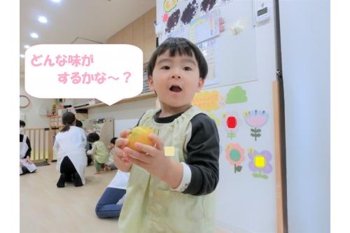 <span style='color:#ff7f00;'>「みかんの味はどんな味？」</span>と皮の匂いをクンクンとかいでみたり「あまいかな？」とウキウキの子どもたち<span style='color:#ffff00;'>★</span>