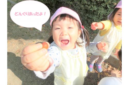 平野西公園へ行って<br>どんぐりを拾いました<span style='color:#23ff23;'>(*^^*)</span><br><br>大きなものも小さなものもあり、<br><span style='color:#9123ff;'>どんぐり</span>を見つけた子どもたちは<br>大喜びです<span style='color:#ff23ff;'>♥</span><br><br>子どもたちに<br>「ここにどんぐりがあるよ!」と<br>伝えると、<span style='color:#ff2d2d;'>一目散に</span>走って拾いに来ました<span style='color:#ff9123;'>★</span>