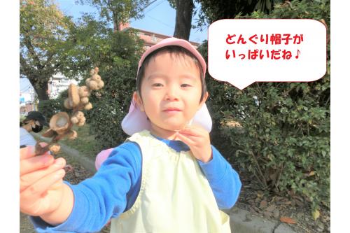 どんぐりよりも<br><span style='color:#ff8e1e;'>どんぐり帽子</span>が多く落ちていて<br>子どもたちも興味津々です<span style='color:#ff2391;'>!</span><br><br><span style='color:#9933ff;'>「帽子いっぱいある!」</span>と<br>嬉しそうな子どもたち<span style='color:#ff28ff;'>♪</span><br><br>拾ったどんぐりに<br>帽子を被せていました<span style='color:#2dff2d;'>(*^^*)</span><br><br>次回のブログもお楽しみに<span style='color:#ff962d;'>★</span>