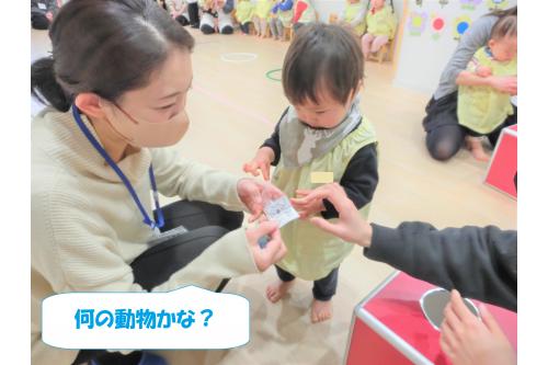 「？ボックス」からガチャガチャを一つ<span style='color:#0000ff;'>選びます♪<br><br><br>コアラは<span style='color:#ff7f00;'>おんぶ</span><br>パンダは<span style='color:#00ff00;'>だっこ</span><br>うさぎは<span style='color:#ff007f;'>手でウサギの耳を作ってジャンプ</span><br>でゴールを目指します<span style='color:#ffff00;'>★</span>