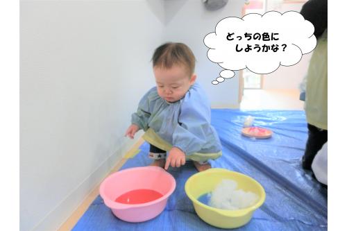 <span style='color:#ff0000;'>赤</span>や<span style='color:#0000ff;'>青</span>など何色か色水を用意して<br>綿に好きな色水をつけて、かき氷も作ってみました！<br><br>思う存分に綿遊びを満喫して<br>遊び終わる頃には全身綿まみれになった<br>ひよこチームでした(<span style='color:#ff007f;'>*</span>^▽^<span style='color:#ff007f;'>*</span>)<br><br>次回のブログもお楽しみに<span style='color:#7f00ff;'>♪</span>