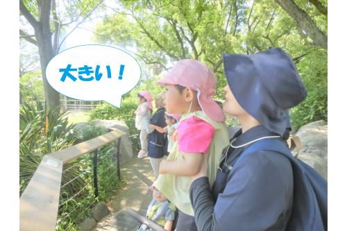 <span style='color:#ff9123;'>「こっち向いてよー!」</span>と<br>きりんに呼びかける子どもたち<span style='color:#ff2323;'>♪</span><br><br>その思いが通じたのか、<br><span style='color:#ff23ff;'>きりん</span>が近くに<span style='color:#9328ff;'>★</span>