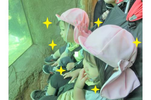 泳いでいる<span style='color:#8e1eff;'>かば</span>を、<br><span style='color:#2323ff;'>目で追ったり、指差しで追ったり</span>と<br>楽しみましたよ<span style='color:#28ff28;'>♪</span>
