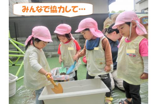 まずは<span style='color:#007fff;'>「お野菜のお家を作ってあげよう！」</span>と<br>プランターに土を入れるところからスタート！<br><br><span style='color:#00ff00;'>うさぎチーム(２歳児)</span>が<br>力を合わせて頑張ってくれました<span style='color:#ff00ff;'>♪</span>