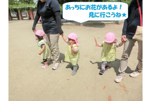 <span style='color:#ff007f;'>りすチーム(１歳児)</span>は<br>保育者と手をつないで散策<span style='color:#00ffff;'>♪</span><br><br><span style='color:#00ff00;'>たんぽぽの花</span>を見つけて<br>指をさして教えてくれたり<br><span style='color:#ff7f00;'>ごみ収集やパトカー</span>といった<br>はたらくくるまも見ることが<br>できました！<br>