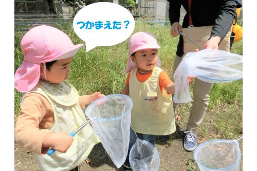 公園の中をお散歩しながら<br>「どこにいるかな？」と<br><span style='color:#ff19ff;'>蝶々</span>を探す子供たち<span style='color:#4ca5ff;'>♪</span><br><br>「あ！いたよ！」と見つけると走って<br>蝶々を追いかけ、網を振って<br>一生懸命捕まえようと頑張っていました<span style='color:#ff7abc;'>(^^)</span><br><br>蝶々の動きはとても早くて<br>なかなか捕まえられず<span style='color:#baff75;'>…</span><br><br>先生が捕まえました！<span style='color:#ff7a7a;'>(笑)</span>
