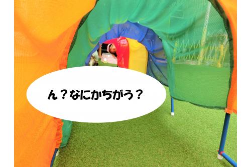 園庭で遊ぶときに使う<span style='color:#ff7a7a;'>¨トンネル¨</span>。<br>今日はなんだか<span style='color:#70b7ff;'>いつもと</span>様子が違うようです。<br><br>子どもたちも<span style='color:#70ff70;'>何か</span>が違うことに気づいた様子で<br>中を覗いたり、あたりをキョロキョロ<span style='color:#ffad5b;'>(._.)</span>