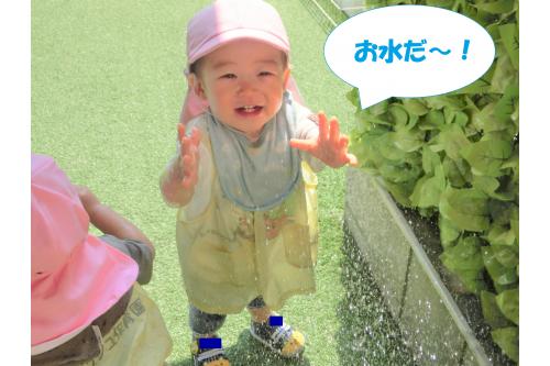 保育者がホースから水を出すと<br>「<span style='color:#007fff;'>お水だ~!</span>」とテンションが<br>上がり<span style='color:#ff7f00;'>大喜び</span>な子どもたち(^^<span style='color:#ff00ff;'>♪</span>