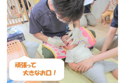 お兄さん、お姉さんの真似をして<br><span style='color:#ff7f00;'>りすチーム（1歳児）</span>も頑張りました！<br><br><span style='color:#00ff00;'>お口あーん</span>とっても上手にできて<br>褒めてもらいました♪<br>