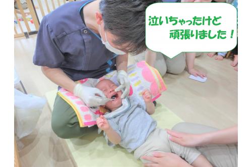<span style='color:#00ff00;'>ひよこチーム（0歳児）</span>は泣いてしまいましたが<br><span style='color:#7f00ff;'>「綺麗な歯です！」</span>と褒めてもらいました。<br><br><br>これからも歯磨きを頑張って<br><span style='color:#ff007f;'>健康で丈夫な歯に</span>していきましょう♪<br><br><br>また、次回のブログもお楽しみに<span style='color:#ffff00;'>★</span>
