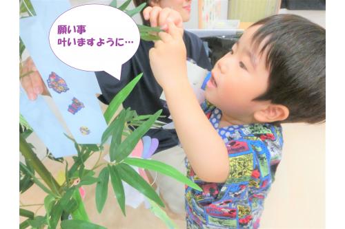 <span style='color:#1e1eff;'>2歳児クラス</span>のお友だちは、<br>保育者の援助なしでも<br>つけることができました<span style='color:#23ff23;'>!</span><br><br>みんなの願い事が叶いますように<span style='color:#ff2391;'>♡</span>