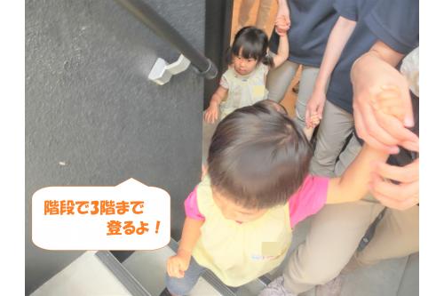 停電でエレベーターが<br>止まることを想定し<br><span style='color:#7f00ff;'>階段でマンション3階</span>まで<br>上がります。<br><br><br>おしゃべりも少なく<br>黙々と階段を登ることで<br><span style='color:#ff007f;'>安全に迅速に</span>避難することが<br>できました。<br><br><br>夏の変わりやすい気候の中<br><span style='color:#0000ff;'>天候の変化</span>にも十分に留意して<br><span style='color:#ff7f00;'>安全な保育園生活</span>を<br>送れるようにしていこうと思います。<br><br><br>また、次回のブログもお楽しみに<span style='color:#ffff00;'>★</span>