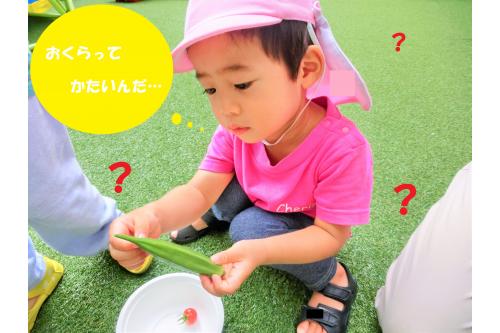 収穫した<span style='color:#00ff00;'>おくら</span>と<span style='color:#ff0000;'>トマト</span>のにおいをかいだり<br>触って<span style='color:#ffa851;'>感触</span>を確かめていました<span style='color:#007fff;'>♪</span><br><br><span style='color:#ff5bad;'>じっくり</span>と触ることがなかなかないので<br>「どうしてかたいの?」「チクチクしてる!」と<br><span style='color:#ff007f;'>い</span><span style='color:#7f00ff;'>ろ</span><span style='color:#007fff;'>い</span><span style='color:#00ff00;'>ろ</span>な発見がありました<span style='color:#ff7f00;'>!(^^)!</span>