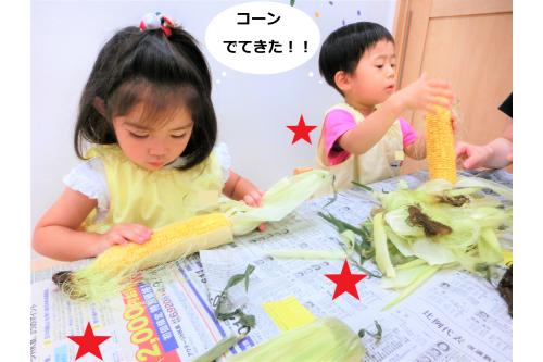 皮をめくっていくと…<br>黄色のコーンを<span style='color:#ff7f00;'>発見</span><span style='color:#ff0000;'>!!</span><br><br>「せんせいみつけた~♫」と<br>大喜びでした(<span style='color:#ff7aff;'>*</span>^^<span style='color:#ff7aff;'>*</span>)<br>