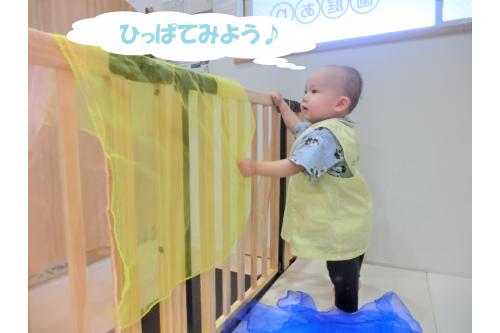 布をかけると、<span style='color:#ff7575;'>ぎゅっ</span>と引っ張って<br>ふんわり落ちていく様子を<br>何度も繰り返し遊びました<span style='color:#ffba75;'>(^^♪</span><br><br>子どもたちの<span style='color:#70ffb7;'>夢中になる遊び方</span>がそれぞれあり、<br>1つの玩具で<span style='color:#ff75ba;'>色んな遊び方</span>を<br>楽しんでいます<span style='color:#ff75ff;'>♪</span>
