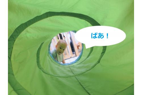 入園してすぐの頃は、長い<span style='color:#b7ff70;'>トンネル</span>に<br>少しこわがっている様子の<br>子どもたちでしたが、<br><br>久しぶりに<span style='color:#baff75;'>トンネル</span>を用意すると、<br>お顔を<span style='color:#ff70ff;'>「ばあ!」</span>と出して<br>大喜びの表情を見せてくれました<span style='color:#75ffba;'>(*^^*)</span>