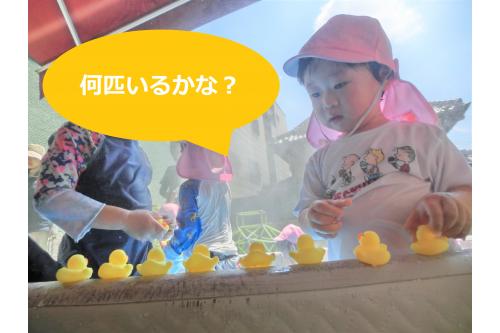 プールのふちに<span style='color:#ff7f00;'>アヒル</span>を並べて<br>遊んでいるお友達もいましたよ<span style='color:#ffff00;'>♪</span><br><br><span style='color:#00ffff;'>プール遊び</span>が始まった頃は<br>水の中に入ることが<span style='color:#7f00ff;'>苦手</span>な<br>お友達もいましたが、、、<br><br>今では<span style='color:#00ffff;'>プール遊び</span>が<br><span style='color:#ff3d9e;'>大好き</span>な子どもたちです<span style='color:#ff007f;'>♡</span><br><br>次回の<span style='color:#00ff7f;'>ブログ</span>もお楽しみに~<span style='color:#ff7f00;'>♪</span>