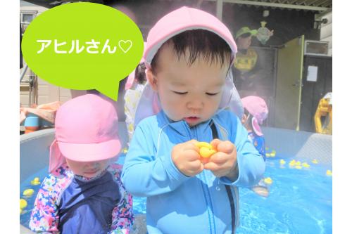 今回は<span style='color:#ff7f00;'>アヒル</span>をたくさん<br>浮かべて遊びました!<br><br><span style='color:#3d3dff;'>プカプカ</span>と水の中を<br>泳がせている子もいれば<br><span style='color:#ff7f00;'>アヒル</span>を大事そうに持って<br><span style='color:#ff00ff;'>見つめ合う子も</span>、、、<br>