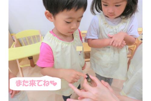 <span style='color:#00ff00;'>「せみさんこっちおいで~!」</span>と<br>大喜びだったのはうさぎチーム(2歳児)!<br><br><br><span style='color:#7f00ff;'>「やさしくするんだよ」</span><span style='color:#ff7f00;'>「ちょんちょんってできた!」</span>と<br>すっかり仲良くなれたようすでした<span style='color:#ff00ff;'>(^-^)</span><br><br><span style='color:#0000ff;'>「またおいで~!」</span>と<br>名残惜しそうにしながらも<br>バイバイもできました。<br><br><br>秋になったら<br><span style='color:#05ff05;'>虫かごや虫取り網</span>をもって<br>公園に出かけたいと思います<span style='color:#ff00ff;'>♪</span><br><br>また、次回のブログもお楽しみに<span style='color:#ffff00;'>★</span>