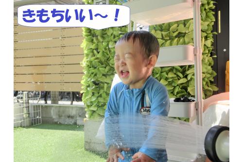 水にもすっかり慣れて<br>顔に少しかかっても<br><span style='color:#ff7f00;'>へっちゃらに!</span><br><br>それどころか<br><span style='color:#ff007f;'>「もっとかけて~!」</span>と<br>顔をシャワーに近づける<br>なんて姿も見られるようになり<br><span style='color:#7f00ff;'>ビックリ</span>です<span style='color:#7fff00;'>(^-^)</span>