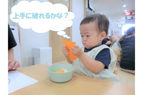 まずは、のり貼りする折り紙を<br><span style='color:#0000ff;'>ビリビリビリ~</span>と破ります!<br><br>最初は<span style='color:#ff0000;'>力ずく</span>で<span style='color:#ff0000;'>引っ張って</span><br>破ろうとしていた子どもたちですが<br><br>保育者が<span style='color:#ff7f00;'>少し切り込み</span>を入れると<br>そこからビリビリ<span style='color:#ff00ff;'>上手に</span>折り紙を<br><span style='color:#ff00ff;'>破ること</span>ができましたよ(<span style='color:#ff007f;'>*</span>^^<span style='color:#ff007f;'>*</span>)<br>