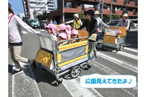 まずはみんなで<br>公園へ向かいます!<br><br>信号が変わったら<br><span style='color:#0000ff;'>「青なったよ~!」</span><span style='color:#ff007f;'>「進む!」</span>と<br>教えてくれる子どもたち。<br><br>交通ルールも<br>ばっちりです<span style='color:#ffff00;'>★</span>