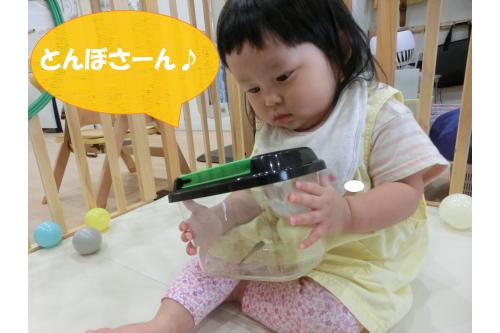 <span style='color:#ff75ff;'>自分で持ってみたい!</span>と、<br>虫かごをしっかり持って<br>近くでじっくり観察中<span style='color:#baff75;'>(*'ω'*)</span><br><br>涼しくなってきたので、お外遊びや<br>公園で虫などのたくさんの<span style='color:#75ffba;'>自然</span>に触れて<br><span style='color:#7575ff;'>興味・関心</span>を引き出せていけたらと思います<span style='color:#ffba75;'>♪(^^</span><br><br>次回のブログもお楽しみに<span style='color:#ff7a7a;'>♪</span>