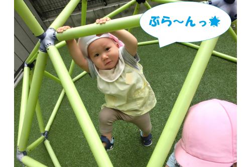 そして今みんなが大好きなのは<br><span style='color:#ff007f;'>ジャングルジム!</span><br><br><span style='color:#7f00ff;'>ぶらーんとぶら下がる</span>ために<br>両手で持って足を高くあげてみたり…<br>