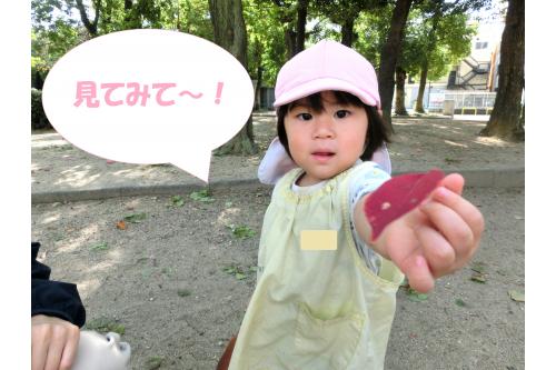 みんなの<span style='color:#42a0ff;'>大好きな公園</span>を<br>散策してみました♪<br><br>すると、、、<br><br><span style='color:#ff4242;'>赤い</span>綺麗な<span style='color:#ffa042;'>葉っぱ</span>を発見!<br><br>葉っぱを見つけたことが嬉しくて<br>「<span style='color:#ff42a0;'>せんせい!</span><span style='color:#ff42ff;'>みて!</span><span style='color:#ffa042;'>はっぱ!</span>」とたくさん<br><span style='color:#7fff00;'>お話</span>しながら見せてくれました(<span style='color:#ff007f;'>*</span>^^<span style='color:#ff007f;'>*</span>)<br>