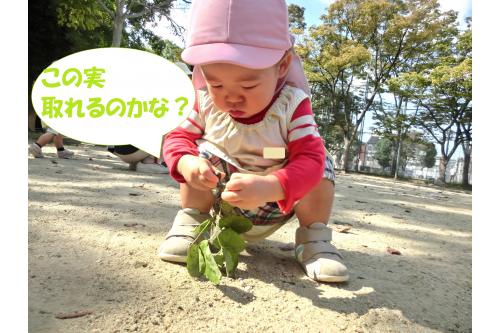 公園内を散策していると<br><span style='color:#9123ff;'>どんぐり</span>や色づいた<span style='color:#2893ff;'>葉っぱ</span>が<br>落ちていて<span style='color:#ff4242;'>色</span><span style='color:#ffa042;'>ん</span><span style='color:#ff4242;'>な</span><span style='color:#ffa042;'>秋</span>を<br>見つけることができました<span style='color:#42ff42;'>!(^^)!</span><br><br>これからも子どもたちと一緒に<br>色んな<span style='color:#ff42ff;'>発見</span>をしていきたいですね<span style='color:#ff00ff;'>♡</span><br><br>次回のブログもお楽しみに~<span style='color:#ffff00;'>★</span>