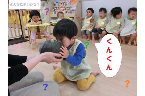 まずは<span style='color:#ff7f00;'>かぼちゃ</span>を<span style='color:#ff7a7a;'>触ったり</span>、<span style='color:#ff7aff;'>においをかいで</span><br>かぼちゃはどんなものなのか<br><span style='color:#7affbc;'>実際に触れて</span>確かめてみました<span style='color:#7affff;'>♬</span>