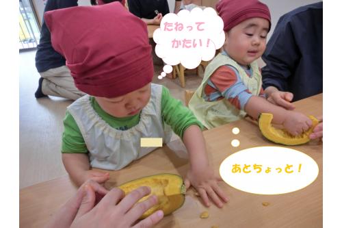 <span style='color:#ffbc7a;'>りすチーム(1歳児)</span>は<span style='color:#7affbc;'>手</span>を使って<br><span style='color:#ff7aff;'>うさぎチーム(2歳児)</span>は<span style='color:#bcff7a;'>スプーン</span>を使って<br><span style='color:#ffbc7a;'>かぼちゃ</span>の<span style='color:#7affbc;'>種とワタ</span>をとりました<span style='color:#ffff00;'>★</span><br><br>取れた<span style='color:#ff7a7a;'>種</span>を触ると<span style='color:#7abcff;'>とっても固く</span>て<br>子どもたちも<span style='color:#bc7aff;'>びっくり</span><span style='color:#ff0000;'>!!</span><br><span style='color:#ff7f00;'>かぼちゃ</span>について<span style='color:#ff7abc;'>新しい発見</span>をすることができました<span style='color:#00ffff;'>(^^)</span>