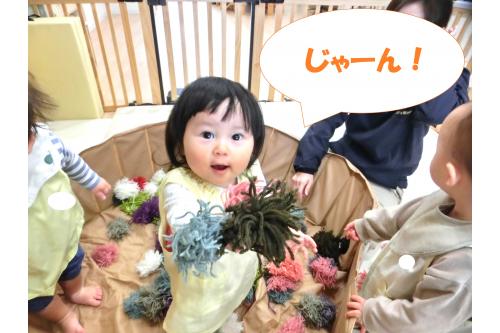 プールの中に<span style='color:#ffba75;'>毛糸</span>を入れると、<br><span style='color:#ff75ff;'>「なになに?」</span>と興味津々の様子で<br>近寄ってきた子どもたち<span style='color:#ff75ff;'>♪</span><br><br>プールの中に入って<br><span style='color:#ffba75;'>ふわふわの毛糸</span>を集めたり<br>踏んで足の裏で感触を<br>楽しんだりする姿が見られました<span style='color:#baff75;'>(^^)/</span>