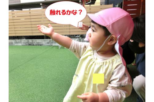 屋根の下では、<br>屋根から落ちてくる雨粒に<span style='color:#ff2323;'>手を伸ばし</span>、<br>感触を楽しむ子どもたち<span style='color:#ff2dff;'>♪</span><br><br>手についた雨粒を<br><span style='color:#962dff;'>「みてみて！」</span>と<br>嬉しそうに見せてくれましたよ(<span style='color:#3399ff;'>*</span>^^<span style='color:#2893ff;'>*</span>)<br>